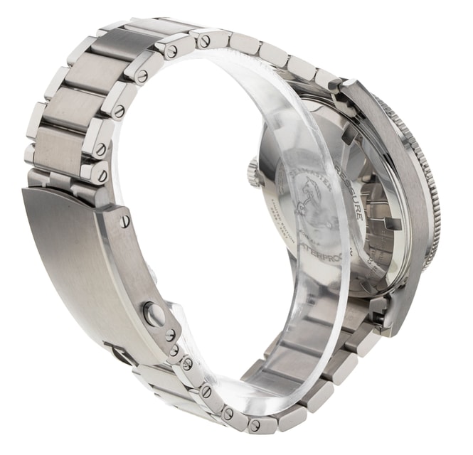 Omega Seamaster 300 234.10.39.20.01.001 Image 3